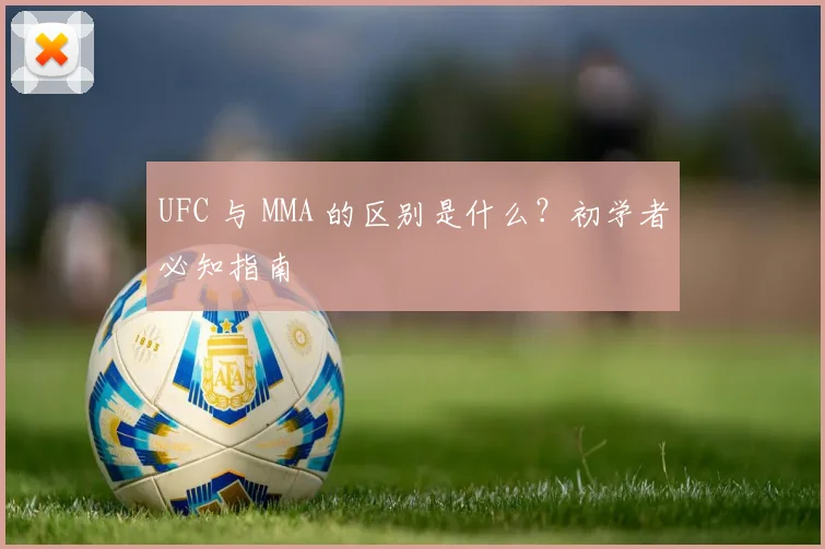 UFC 与 MMA 的区别是什么?初学者必知指南