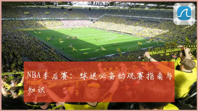 NBA季后赛：球迷必备的观赛指南与知识
