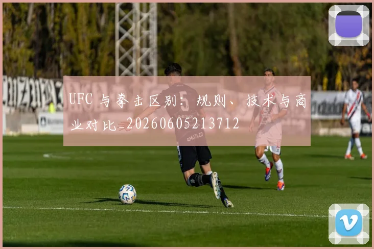 UFC 与拳击区别:规则、技术与商业对比_20260605213712