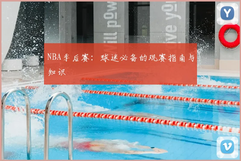 NBA季后赛：球迷必备的观赛指南与知识
