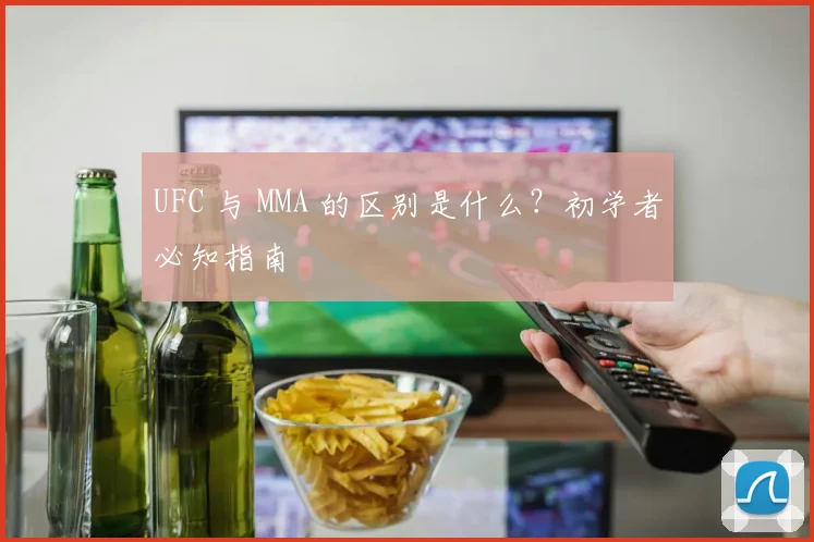 UFC 与 MMA 的区别是什么?初学者必知指南